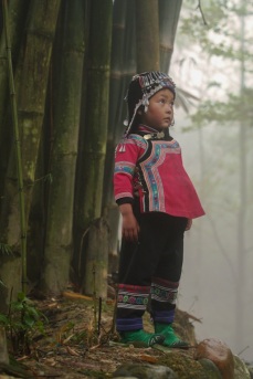 Forest girl, Yunnan