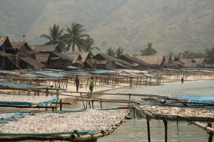 Fishing Village, Dawei
